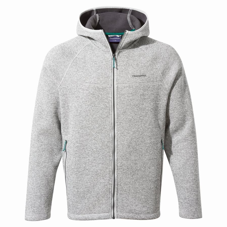 Men's Craghoppers Brayden Hooded Sweaters Silver | GIT6229OM