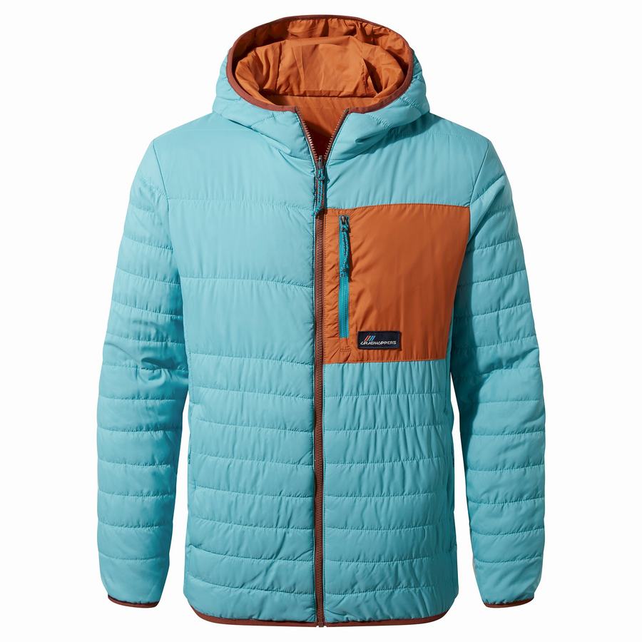 Men's Craghoppers Cameo CompressLite Hooded Jackets Blue | JBJ5022MH