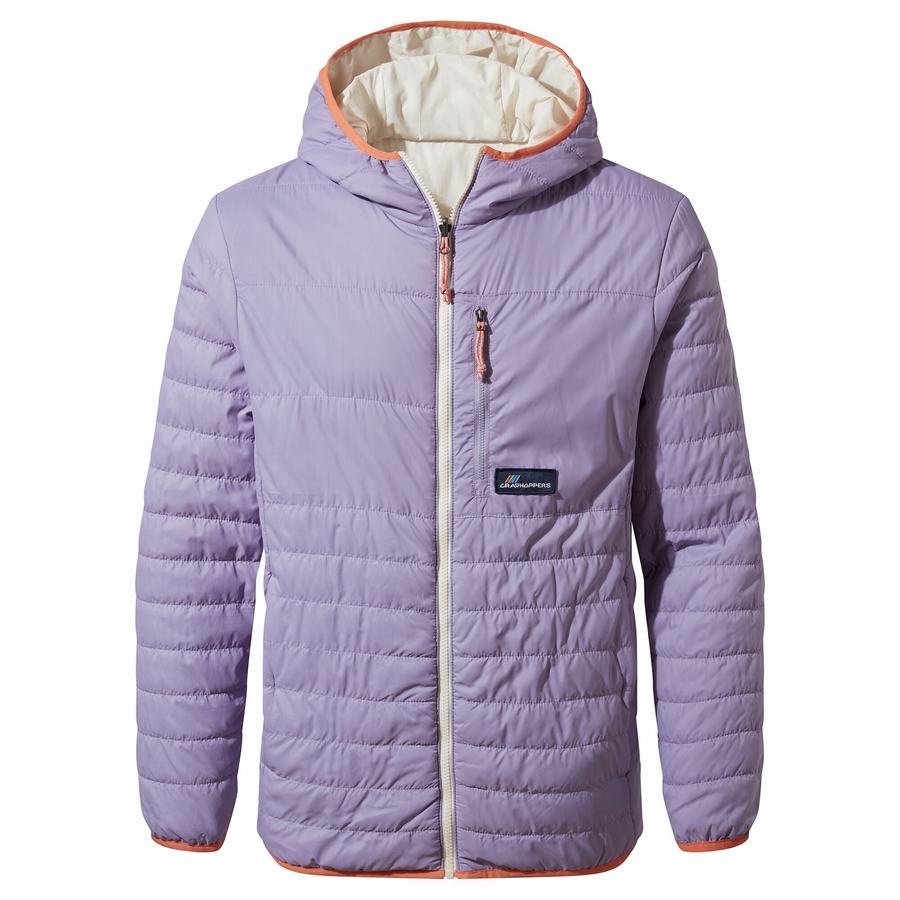 Men's Craghoppers Cameo CompressLite Hooded Jackets Purple | MHP4524RF