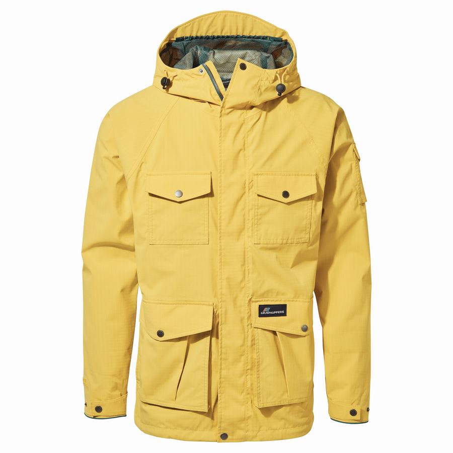 Men's Craghoppers Canyon Jackets Yellow | VJI127IR