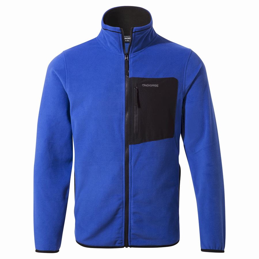 Men's Craghoppers Corey Plus Sweaters Blue | WVM6827RO