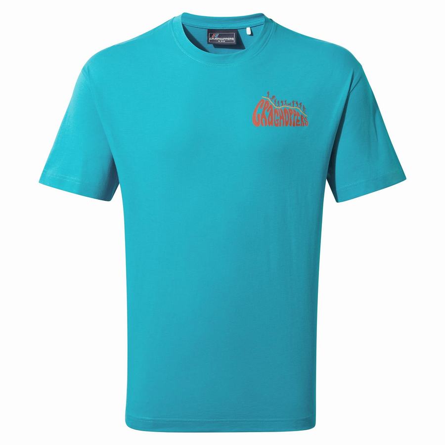 Men's Craghoppers Crosby Short Sleeved T-Shirts Blue | VVI2260MR