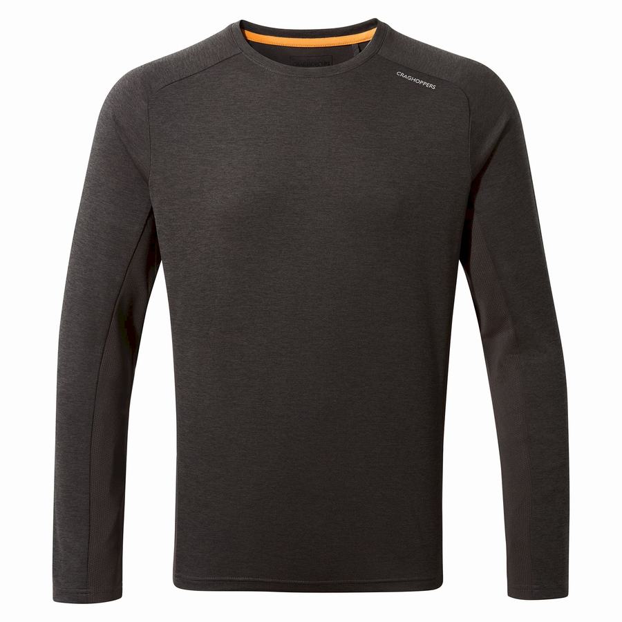 Men's Craghoppers Dynamic Pro Long Sleeved T-Shirts Black | SIE7727EI