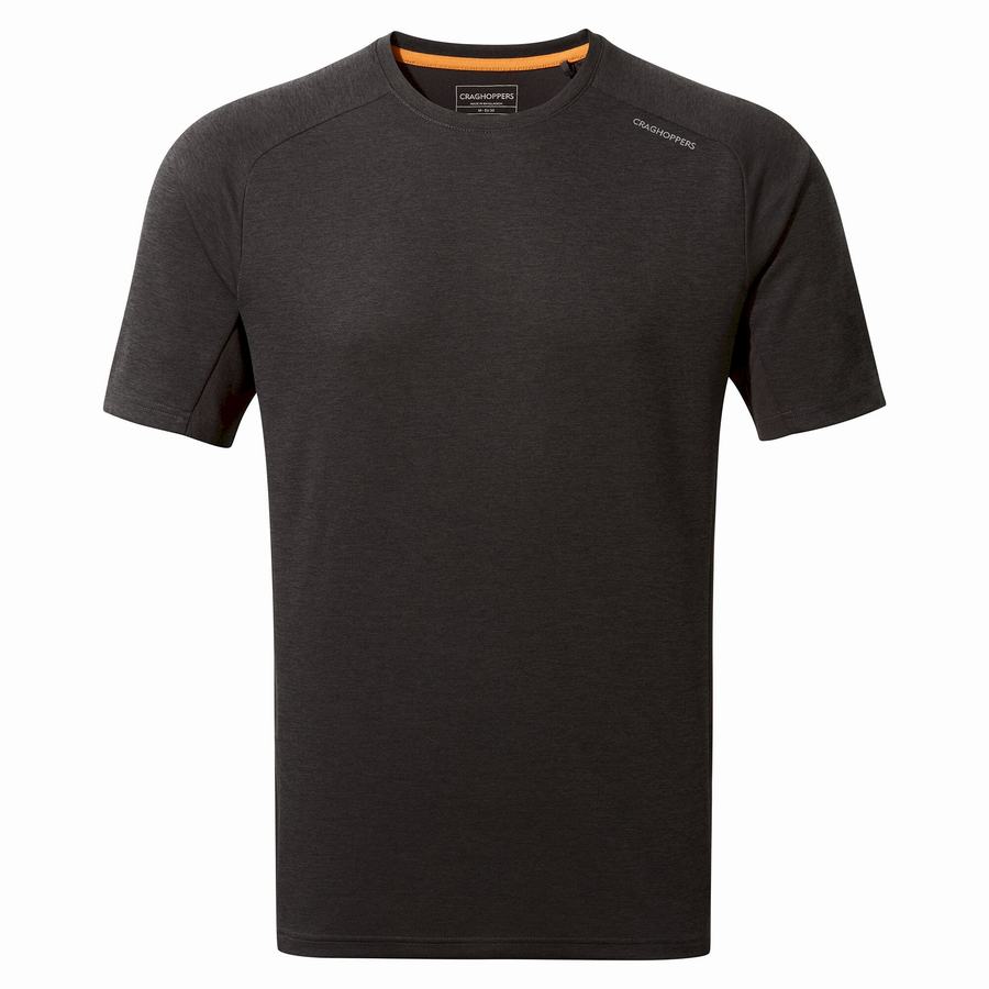 Men's Craghoppers Dynamic Pro Short Sleeved T-Shirts Black | GCP2250XU