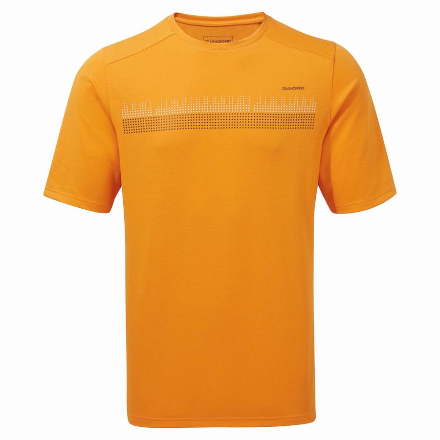 Men's Craghoppers Dynamic Short Sleeved T-Shirts Orange | RSR337JK