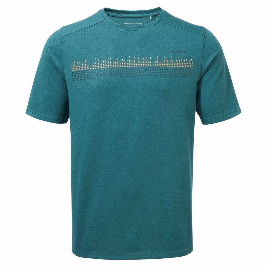 Men's Craghoppers Dynamic Short Sleeved T-Shirts Green | XKV6316GZ