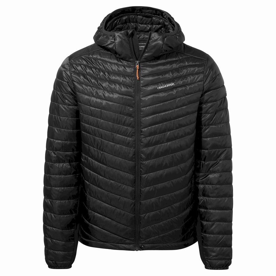 Men's Craghoppers ExpoLite Insulated Hooded Jackets Black | MQW5843WR