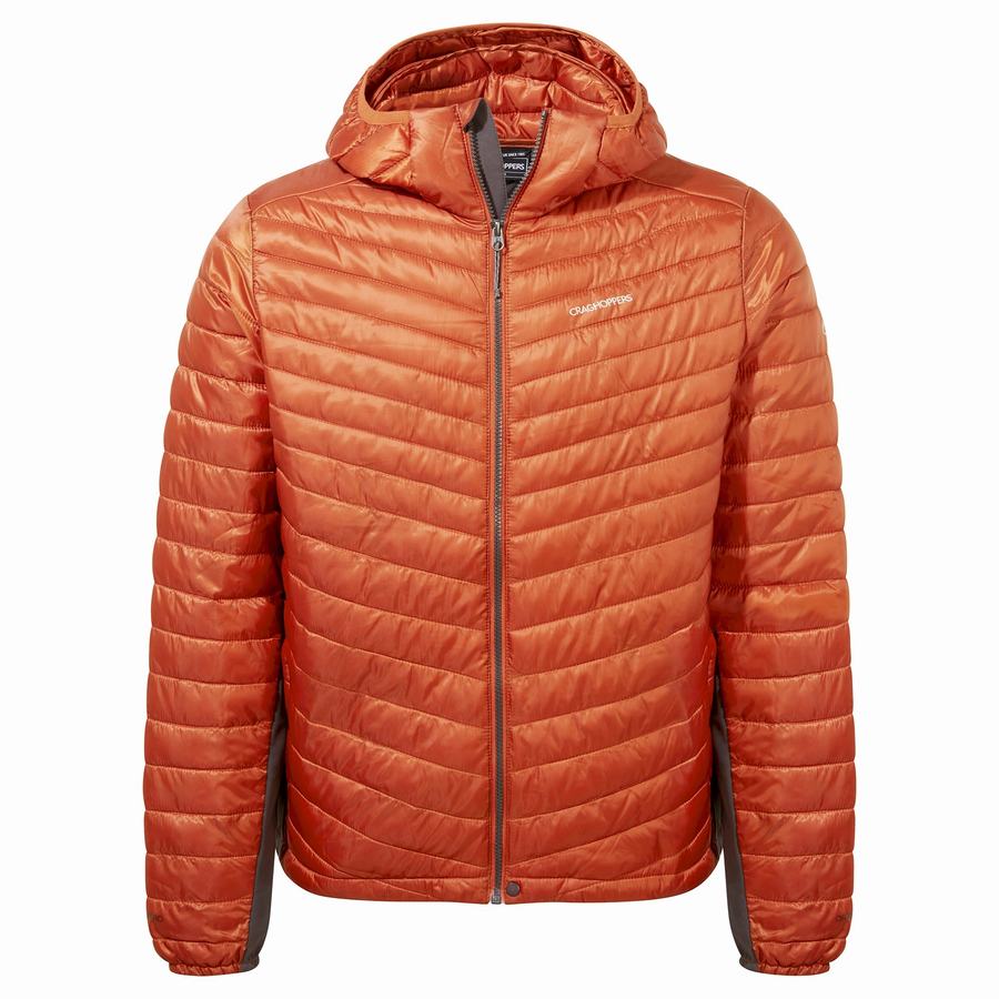 Men's Craghoppers ExpoLite Insulated Hooded Jackets Orange | VVG8692NT