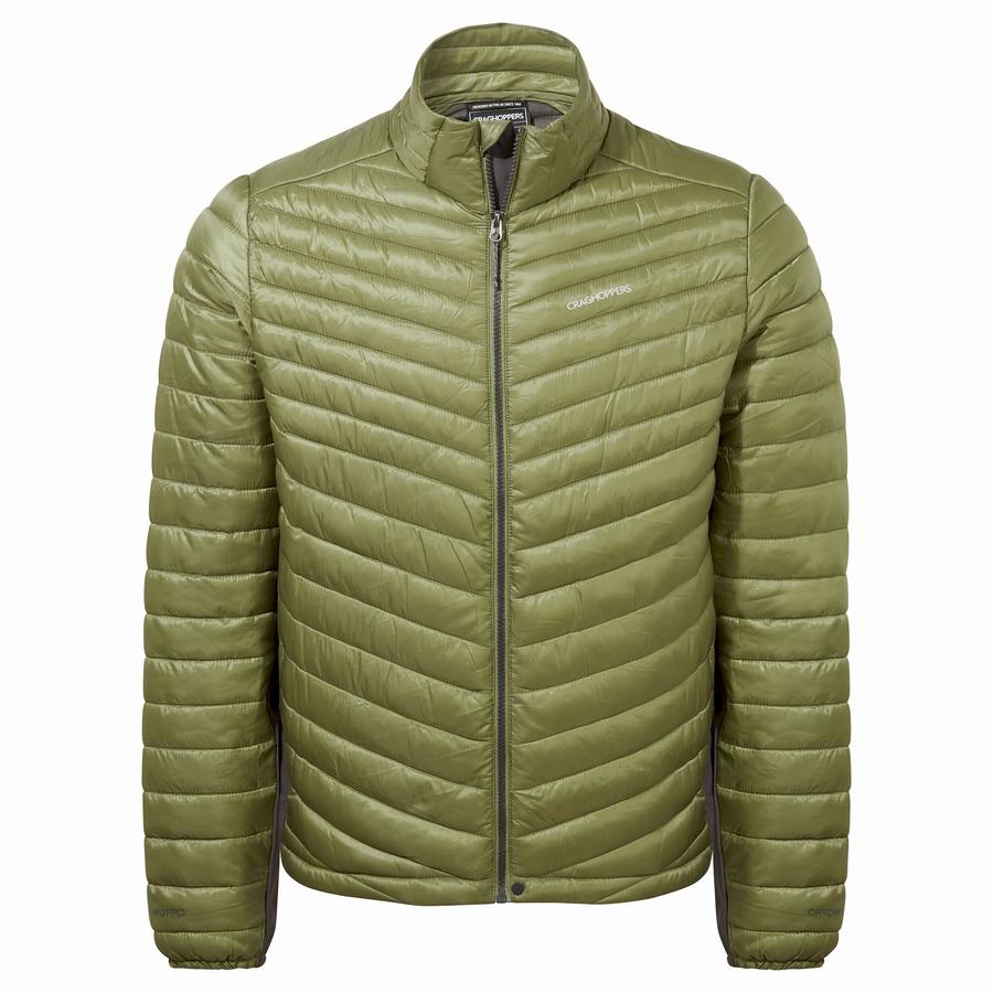 Men's Craghoppers ExpoLite Insulated Jackets Olive Green | USX6820GS