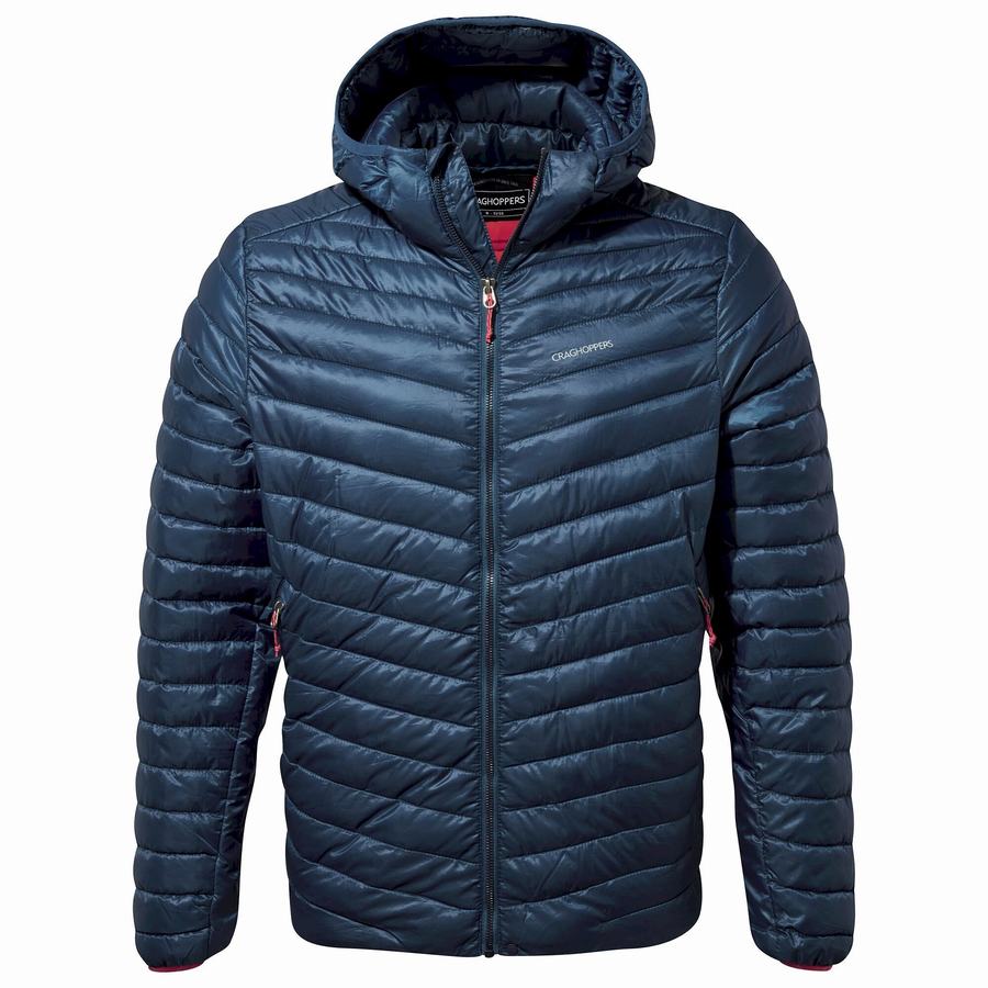 Men's Craghoppers Insulated ExpoLite Hooded Jackets Navy Blue | JOK2917FY