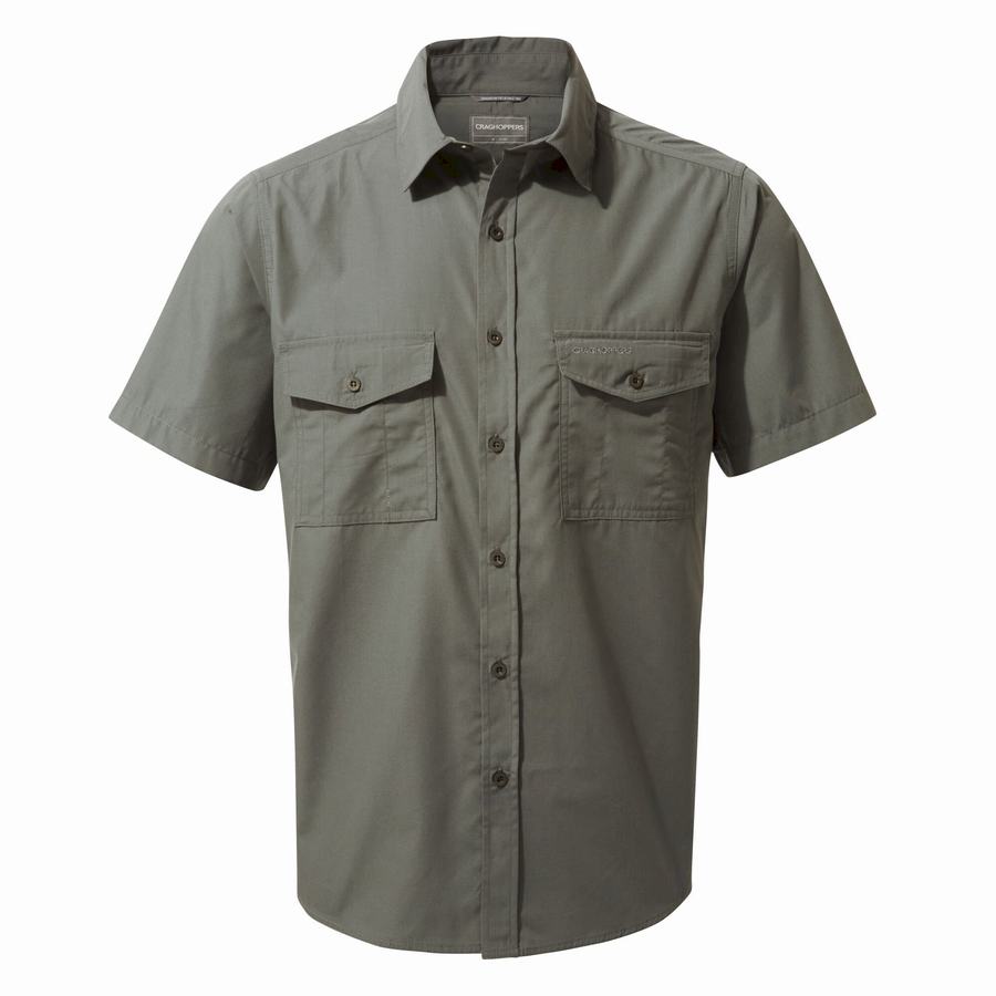 Men's Craghoppers Kiwi Short Sleeved Shirts Dark Grey | CPF8454MR