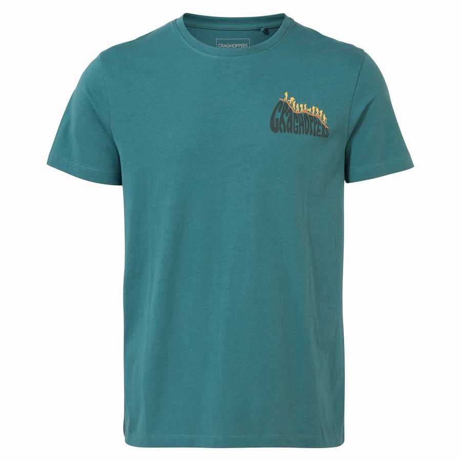 Men's Craghoppers Lugo Short Sleeved T-Shirts Green | HZK5176RD