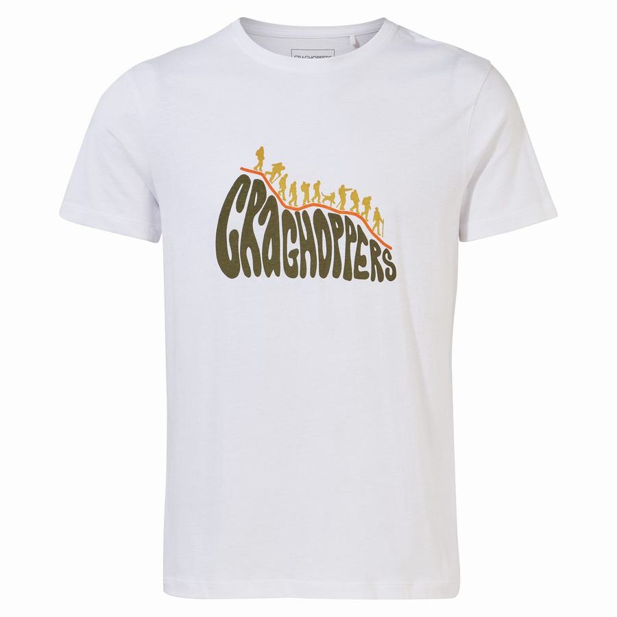 Men's Craghoppers Lugo Short Sleeved T-Shirts White | XZP4112GT