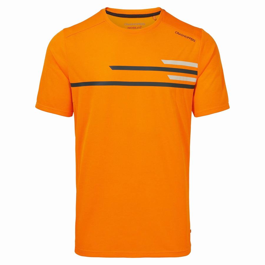 Men's Craghoppers NosiLife Pro Active Short Sleeved T-Shirts Orange | MDM5044XP