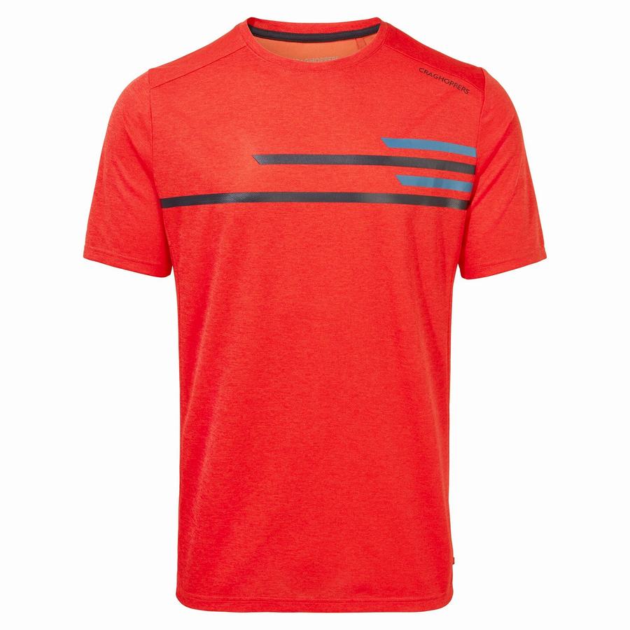 Men's Craghoppers NosiLife Pro Active Short Sleeved T-Shirts Orange Red | XFO3992AX