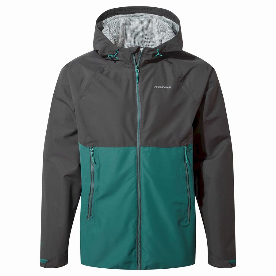 Men's Craghoppers Sebastian Jackets Black Green | IYA4450GV