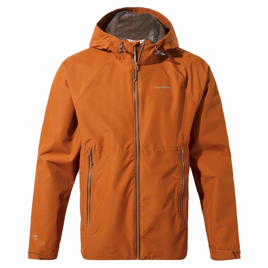 Men's Craghoppers Sebastian Jackets Orange | KAQ5799OS