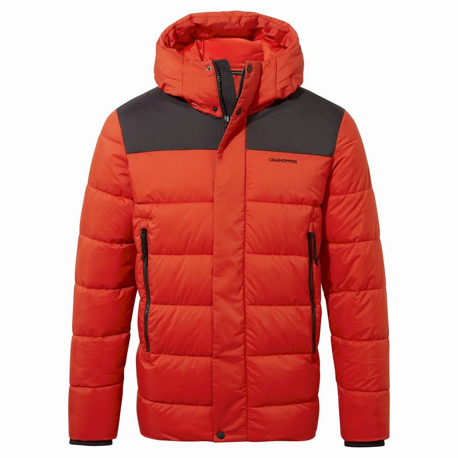 Men's Craghoppers Sutherland Insulated Hooded Jackets Red Black | XFR8584CB