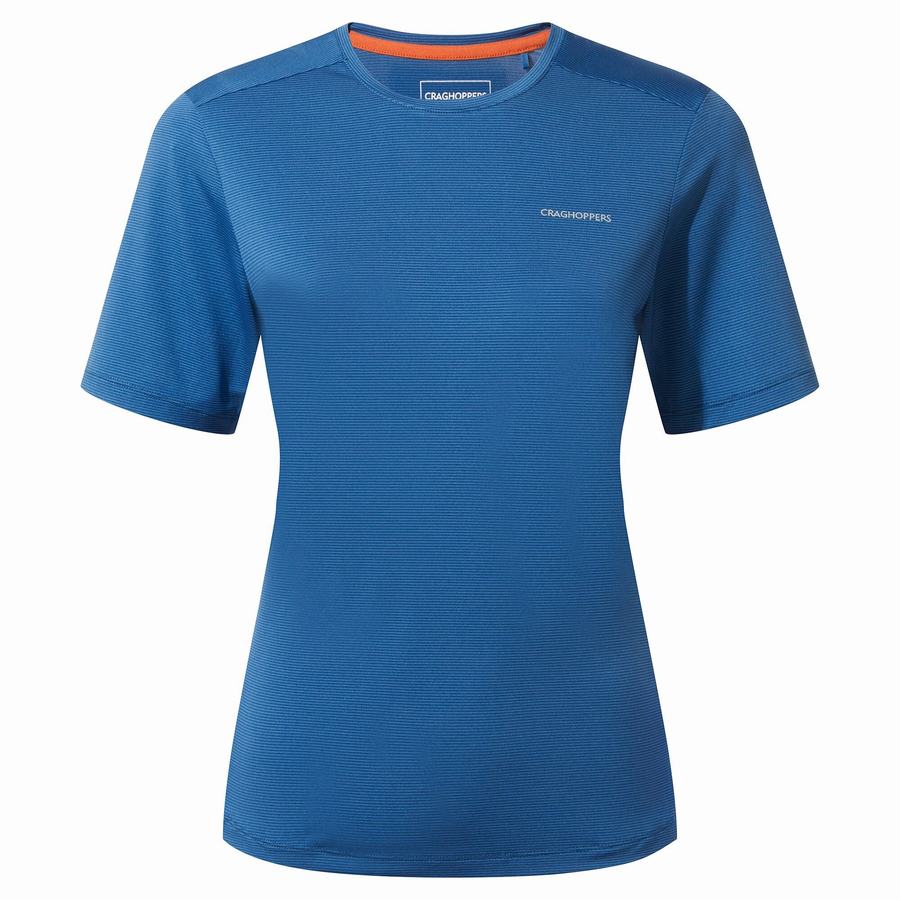 Women's Craghoppers Aliso Short Sleeved T-Shirts Blue | TEY7798DR