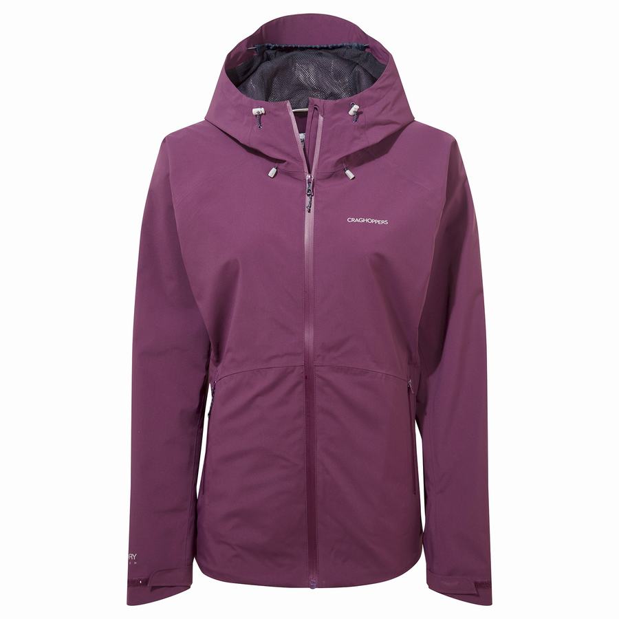 Women's Craghoppers Anza Jackets Purple | XOU988SF