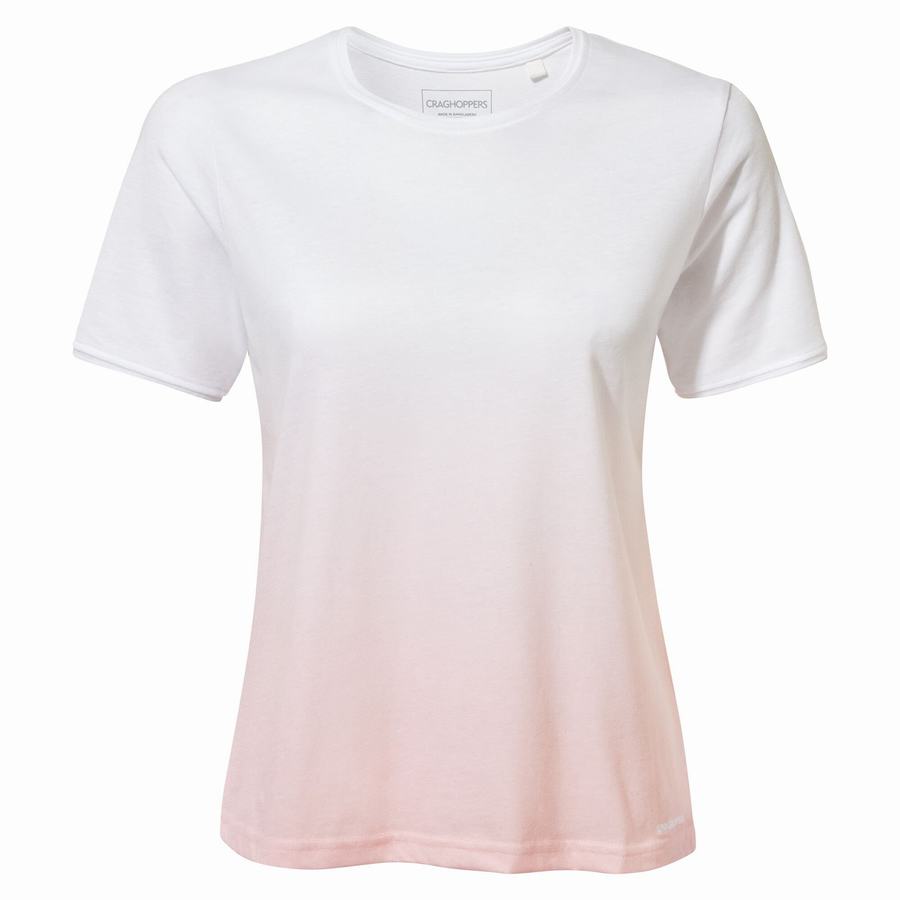 Women's Craghoppers Ilyse Short Sleeved T-Shirts Pink | OHJ789RC