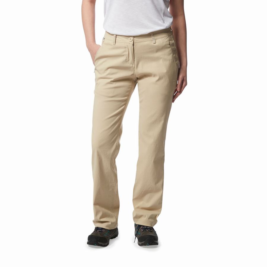 Women's Craghoppers Kiwi Pro II Trousers Brown | YCY6737WW