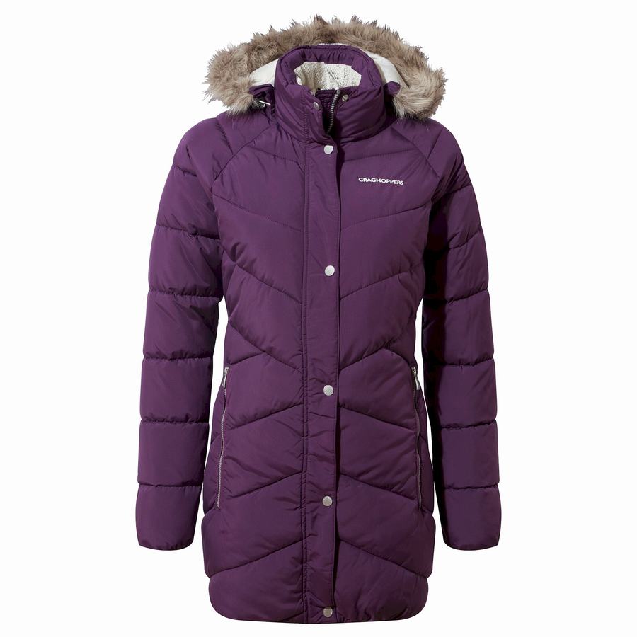 Women's Craghoppers Lisby Downlike Jackets Purple | EDM7077JM