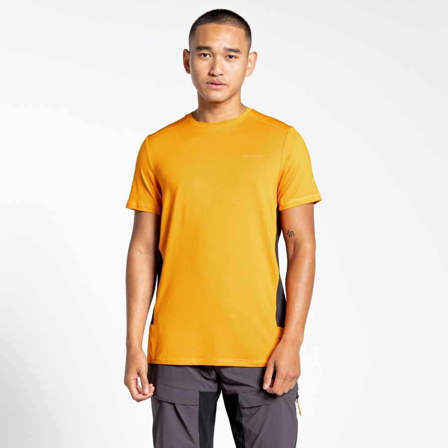 Men's Craghoppers Atmos Short Sleeved T-Shirts Orange | YRX7668XB