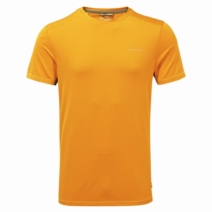 Men\'s Craghoppers Atmos Short Sleeved T-Shirts Orange | YRX7668XB