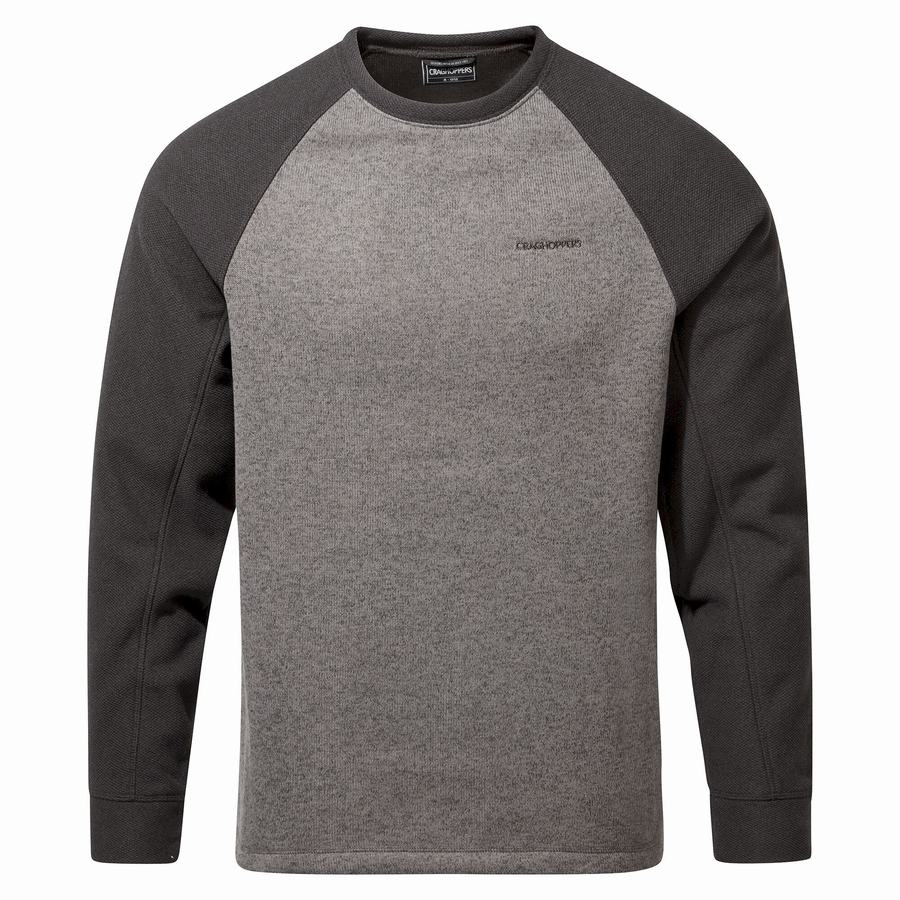 Men's Craghoppers Barker Jumper Sweatshirts Grey | YHK9516LY