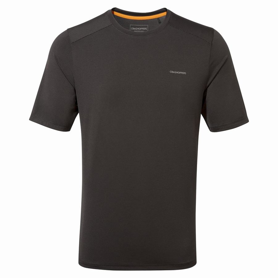 Men's Craghoppers Belardo Short Sleeved T-Shirts Black | MZW4695YC