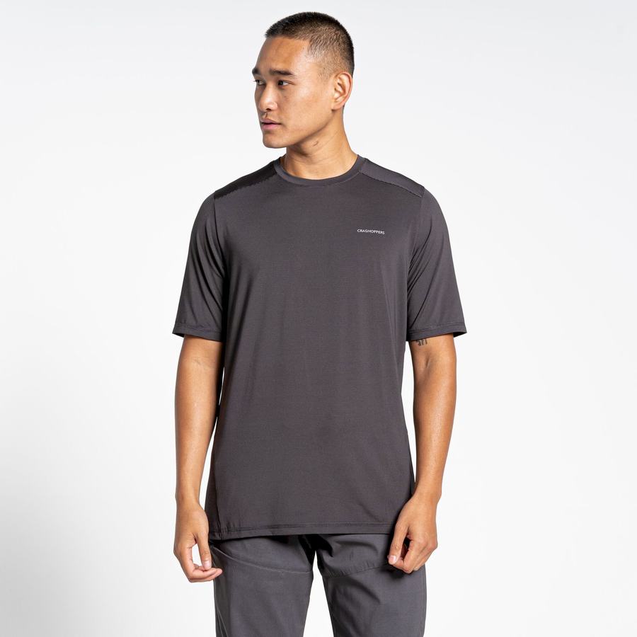 Men's Craghoppers Belardo Short Sleeved T-Shirts Black | MZW4695YC