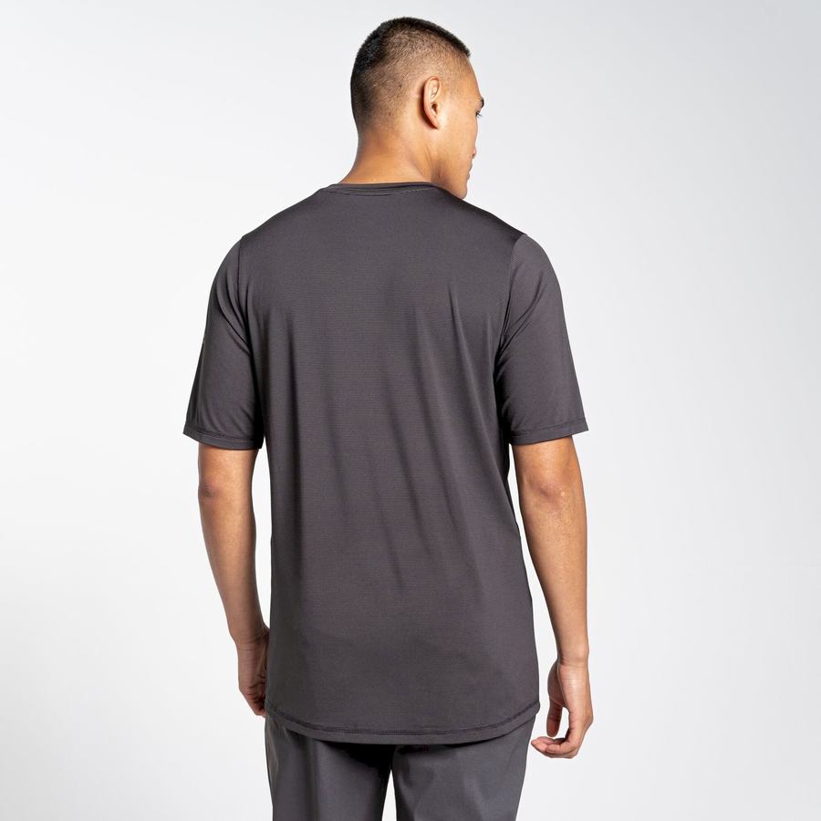 Men's Craghoppers Belardo Short Sleeved T-Shirts Black | MZW4695YC