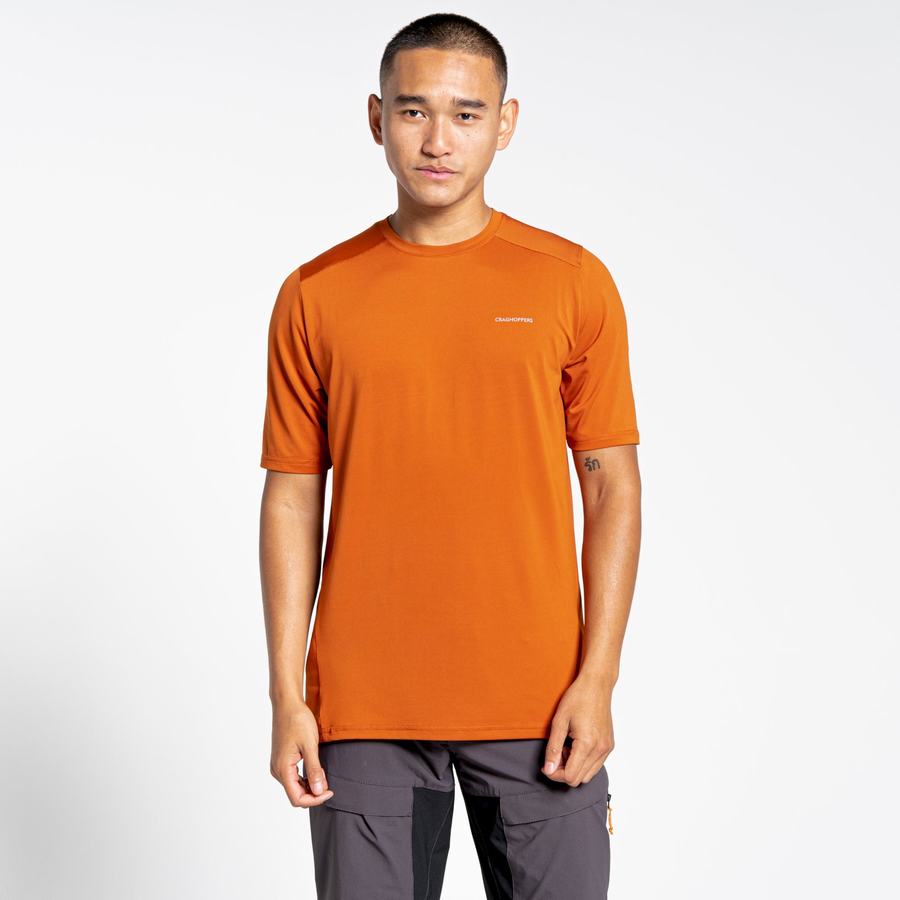 Men's Craghoppers Belardo Short Sleeved T-Shirts Orange | VWC3715VG