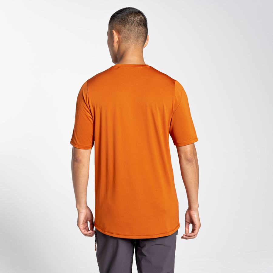 Men's Craghoppers Belardo Short Sleeved T-Shirts Orange | VWC3715VG