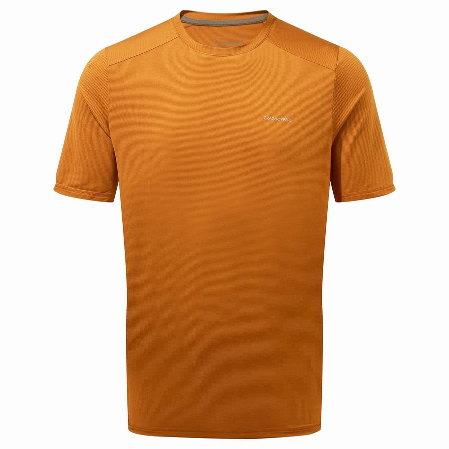 Men\'s Craghoppers Belardo Short Sleeved T-Shirts Orange | VWC3715VG