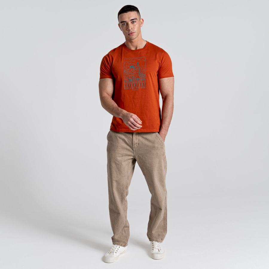 Men's Craghoppers Caldo Short Sleeved T-Shirts Orange | VOJ8789EC