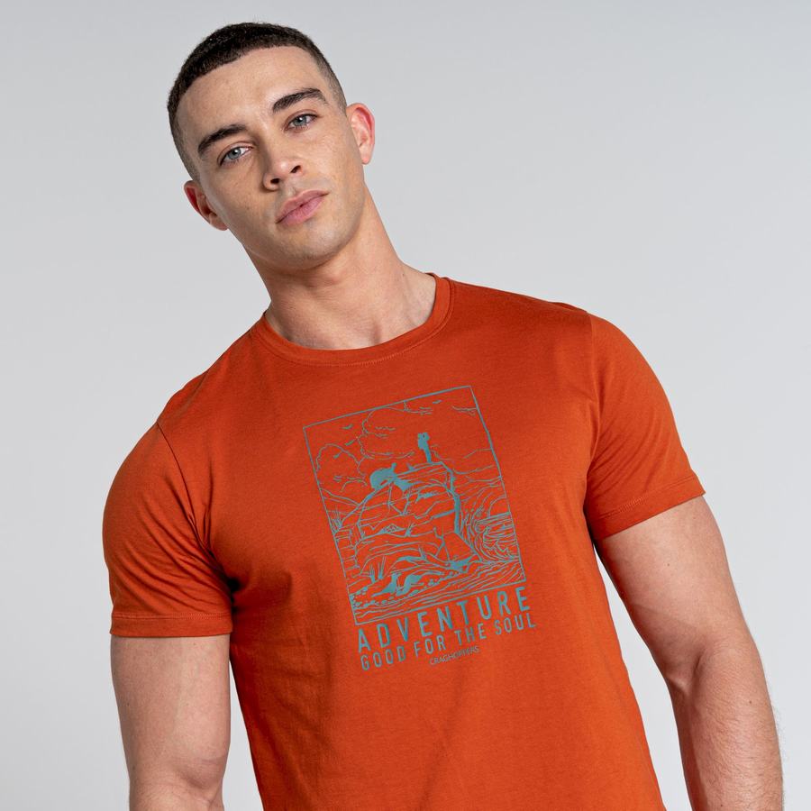 Men's Craghoppers Caldo Short Sleeved T-Shirts Orange | VOJ8789EC