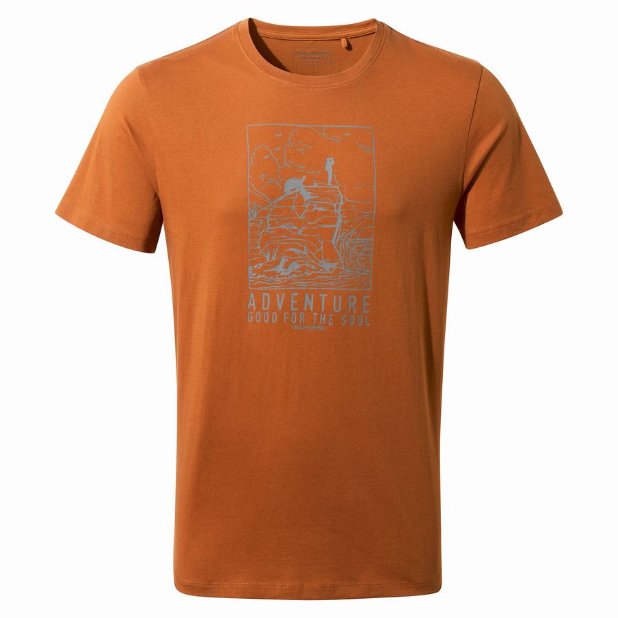 Men's Craghoppers Caldo Short Sleeved T-Shirts Orange | VOJ8789EC