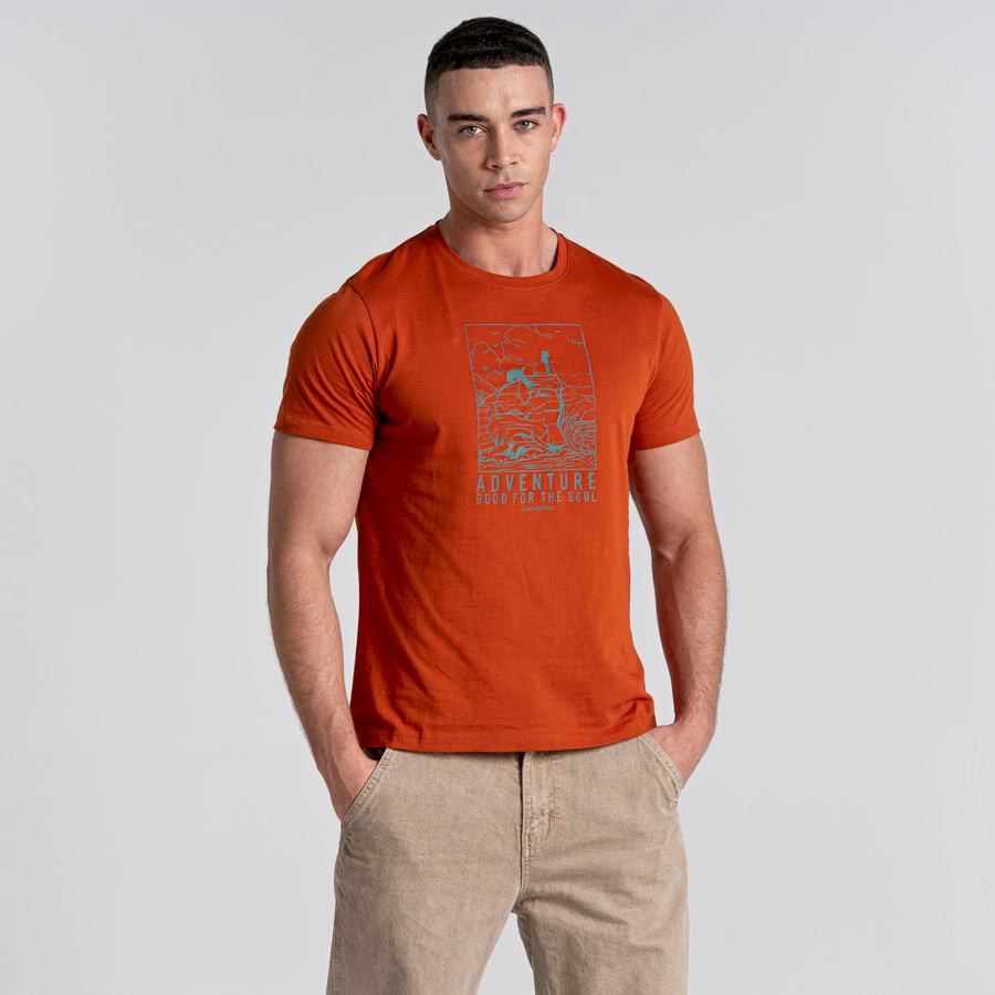 Men's Craghoppers Caldo Short Sleeved T-Shirts Orange | VOJ8789EC