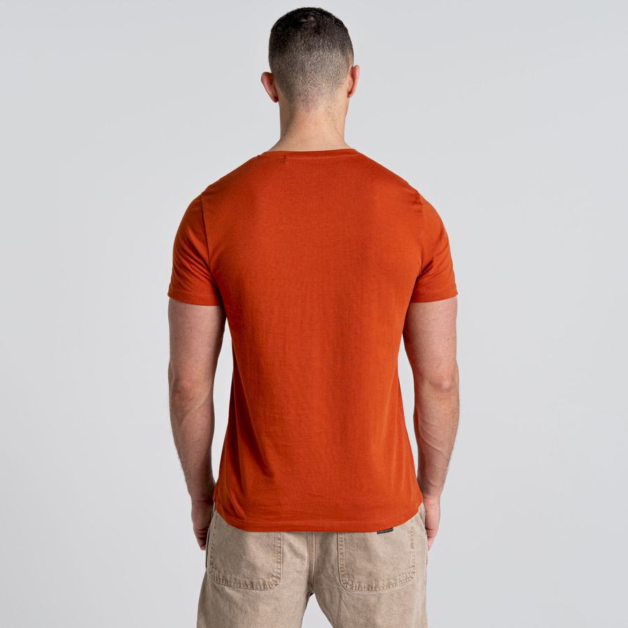 Men's Craghoppers Caldo Short Sleeved T-Shirts Orange | VOJ8789EC