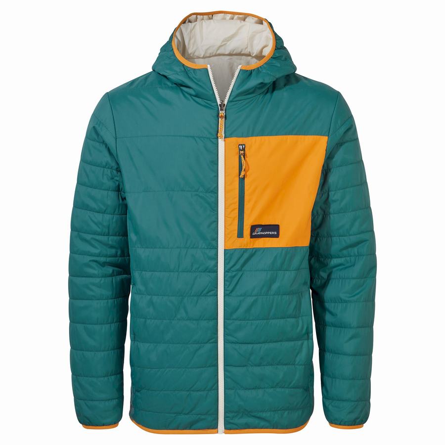 Men\'s Craghoppers Cameo CompressLite Hooded Jackets Green | ERC8517QQ