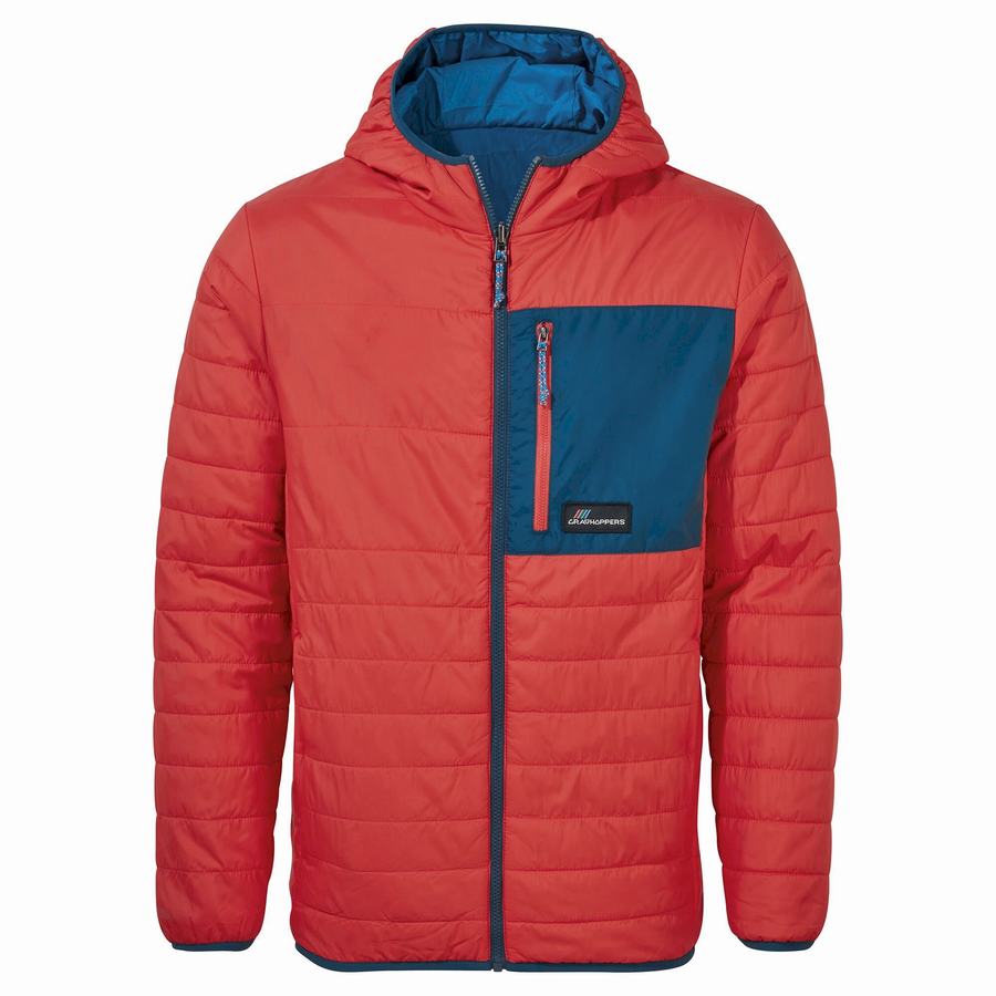 Men\'s Craghoppers Cameo CompressLite Hooded Jackets Orange Red | KZG540CG