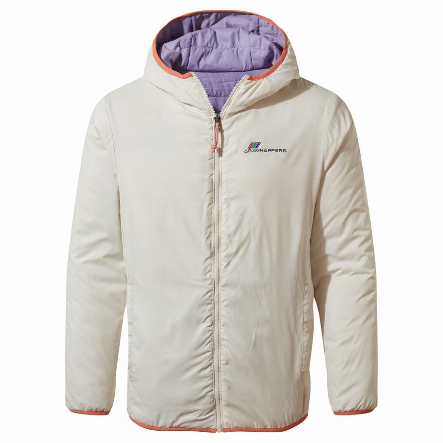 Men's Craghoppers Cameo CompressLite Hooded Jackets Purple | MHP4524RF