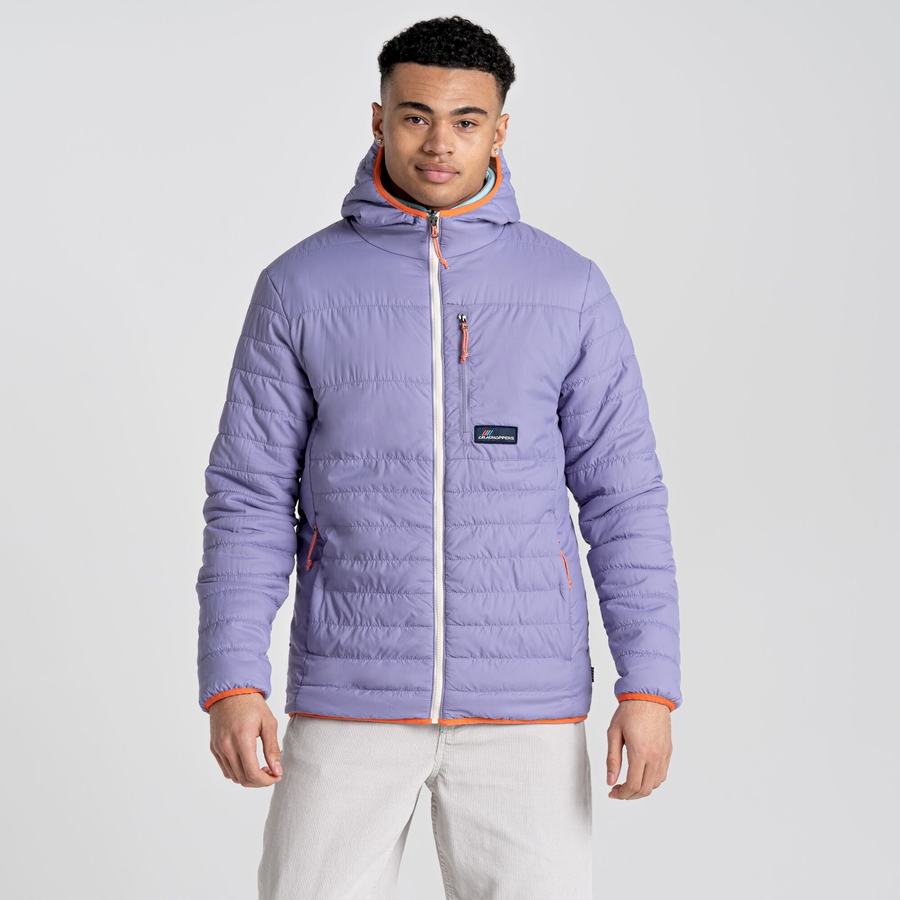 Men's Craghoppers Cameo CompressLite Hooded Jackets Purple | MHP4524RF