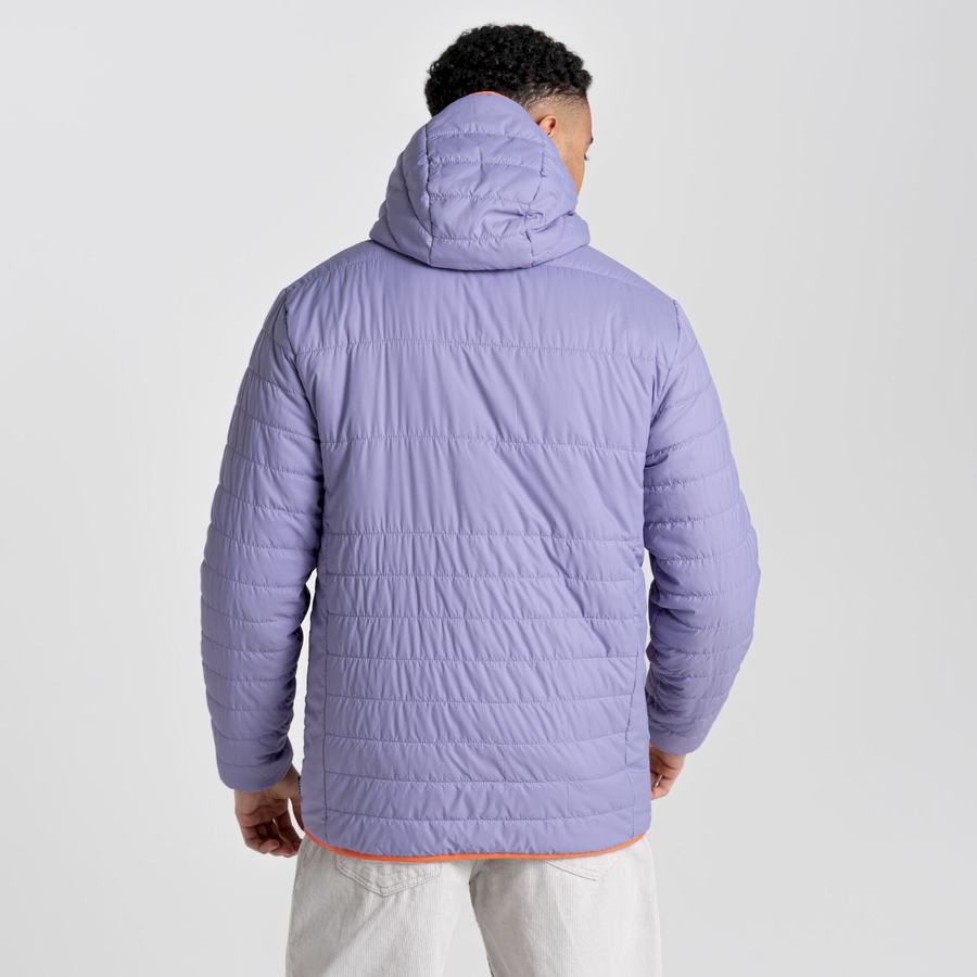 Men's Craghoppers Cameo CompressLite Hooded Jackets Purple | MHP4524RF