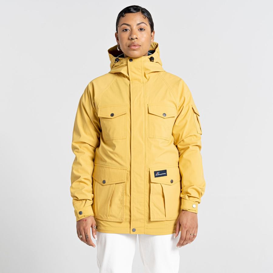 Men's Craghoppers Canyon Jackets Yellow | VJI127IR