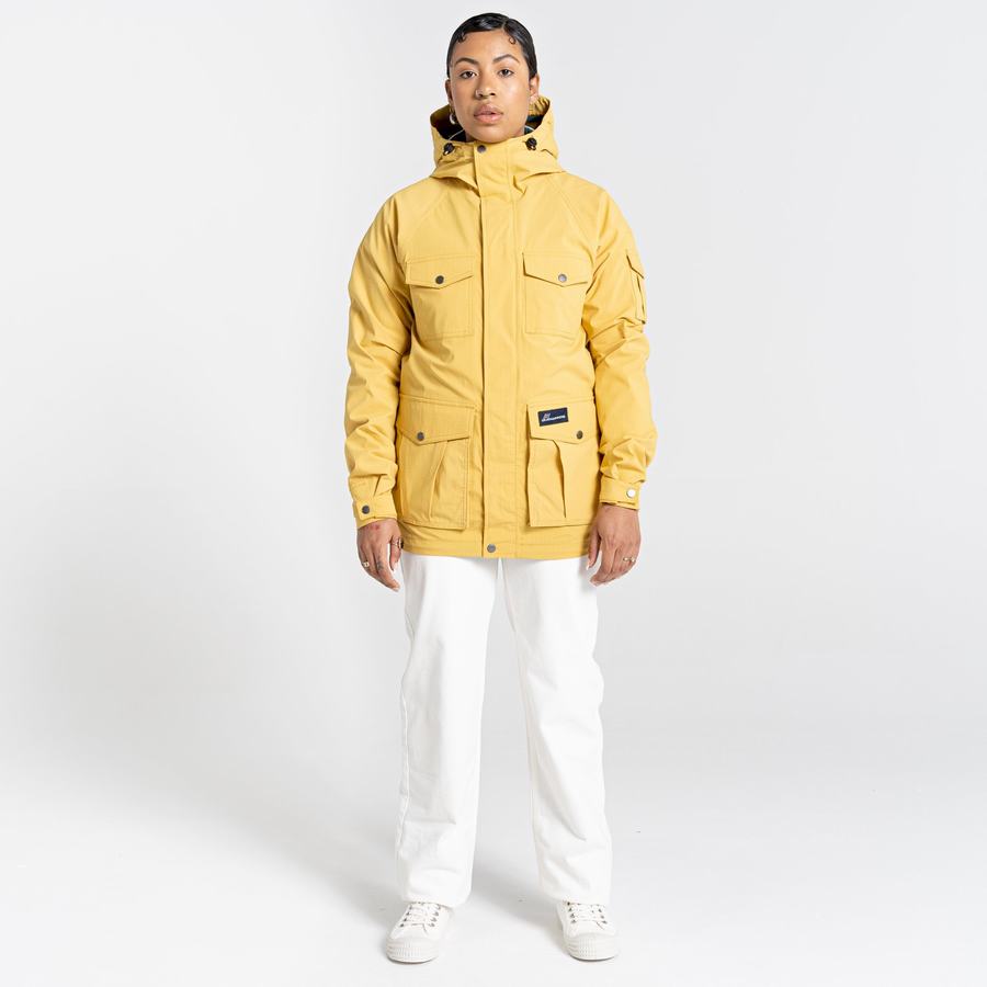 Men's Craghoppers Canyon Jackets Yellow | VJI127IR