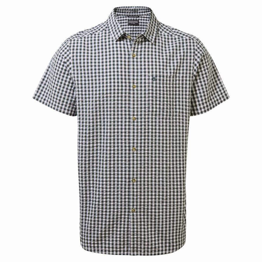 Men's Craghoppers Centro Short Sleeved Shirts Green | GYS3448NE