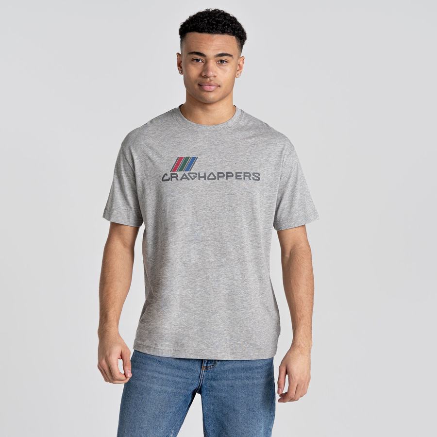 Men's Craghoppers Crosby Short Sleeved T-Shirts Grey | CKG5590CV